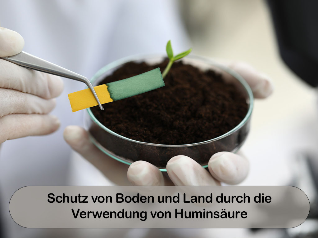 10 copy german