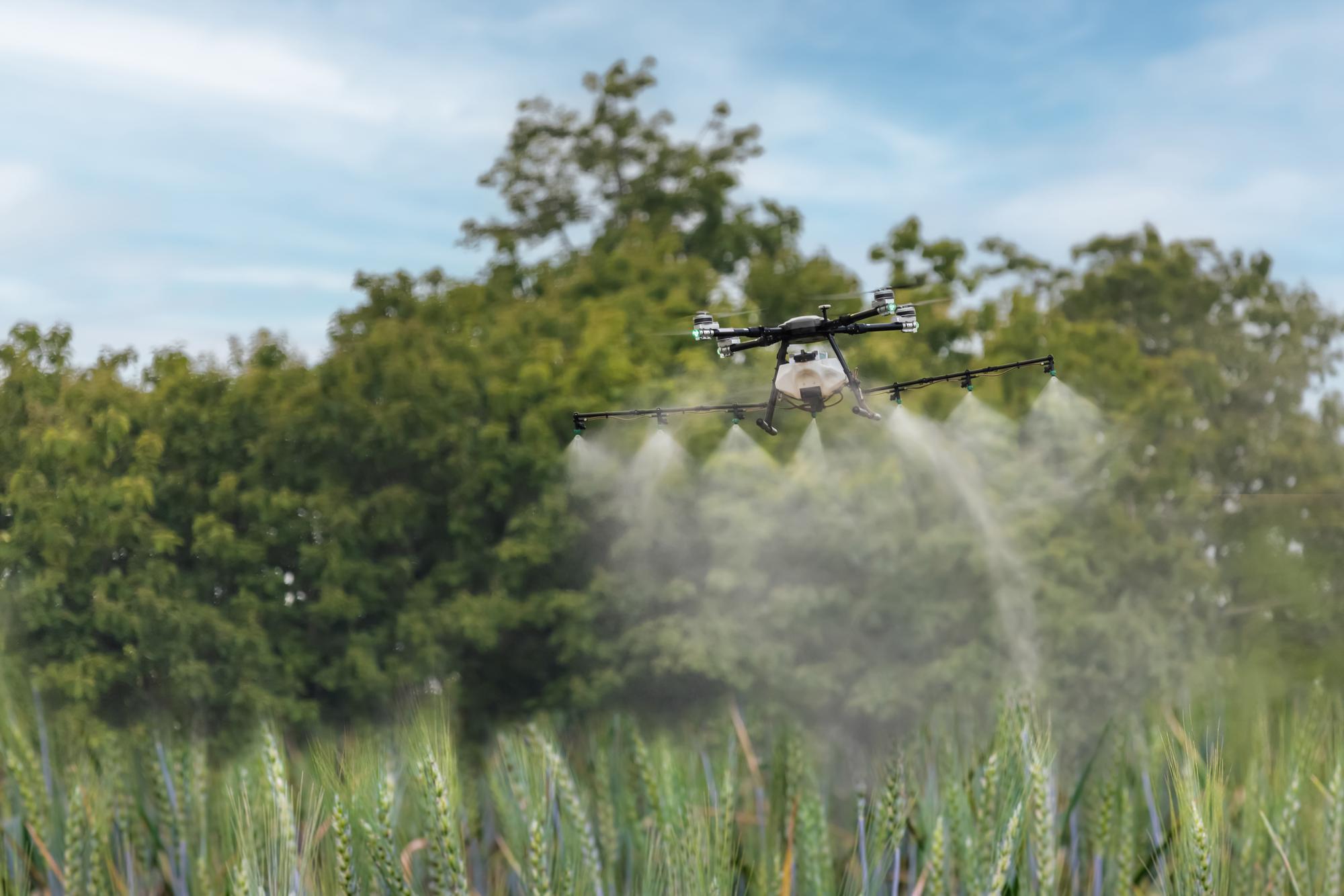 drone-spray-pesticide-wheat-field_176124-2983
