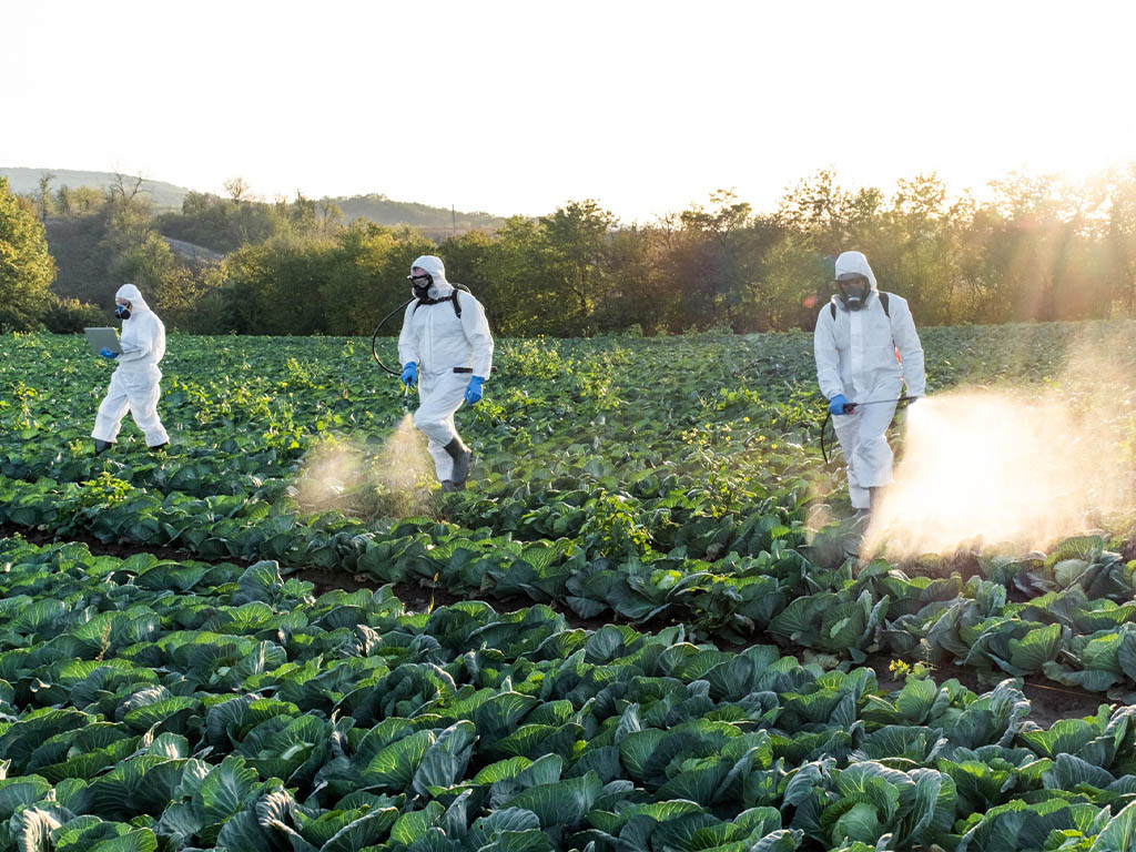 Fostering Sustainability and Food Security of agricultural pesticides and ways to Reduce their negative effects