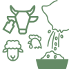 animals